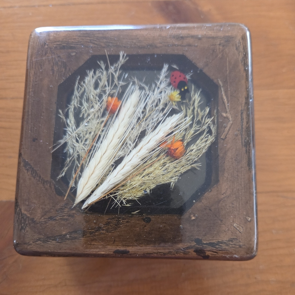 70s Wood Box With Resin Top That Has Dried Flowers And A Lady Bug